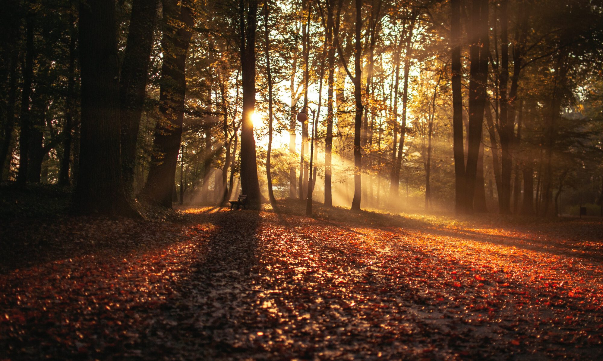 Herbstleuchtfeuer